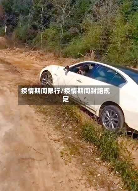 疫情期间限行/疫情期间封路规定-第2张图片