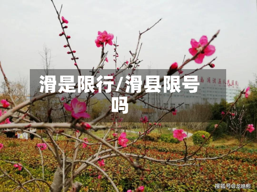 滑是限行/滑县限号吗-第1张图片