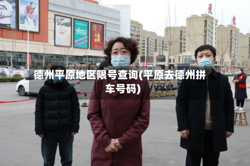 德州平原地区限号查询(平原去德州拼车号码)
