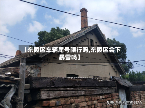 【东陵区车辆尾号限行吗,东陵区会下暴雪吗】-第1张图片