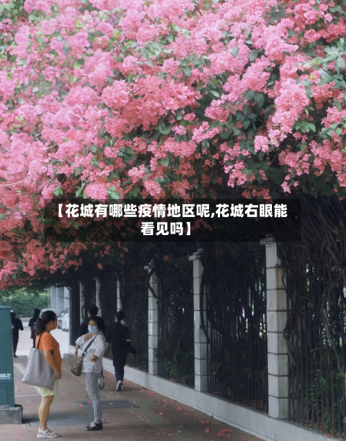 【花城有哪些疫情地区呢,花城右眼能看见吗】-第2张图片