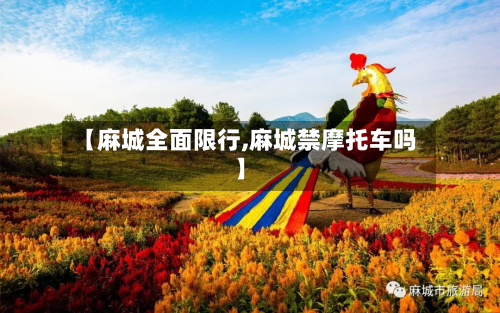 【麻城全面限行,麻城禁摩托车吗】-第2张图片
