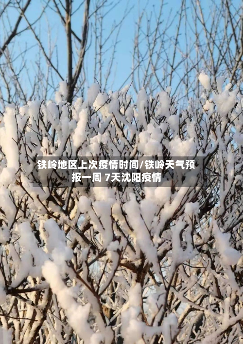 铁岭地区上次疫情时间/铁岭天气预报一周 7天沈阳疫情-第3张图片