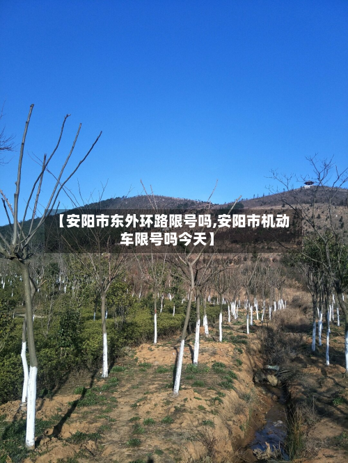 【安阳市东外环路限号吗,安阳市机动车限号吗今天】