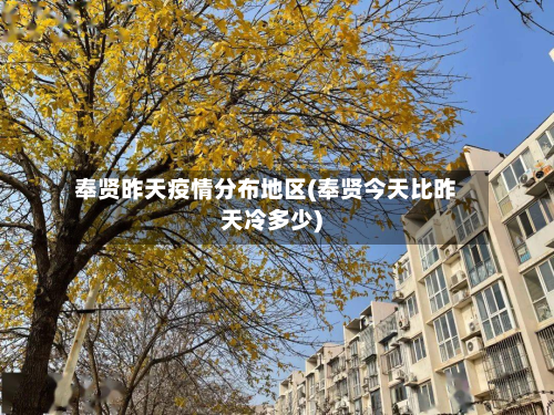 奉贤昨天疫情分布地区(奉贤今天比昨天冷多少)-第3张图片