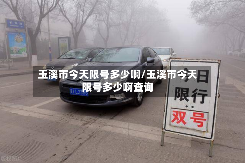 玉溪市今天限号多少啊/玉溪市今天限号多少啊查询