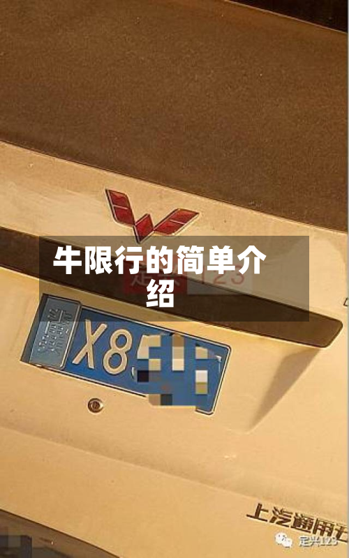 牛限行的简单介绍