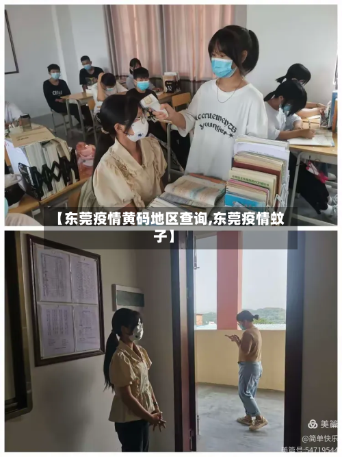 【东莞疫情黄码地区查询,东莞疫情蚊子】-第2张图片