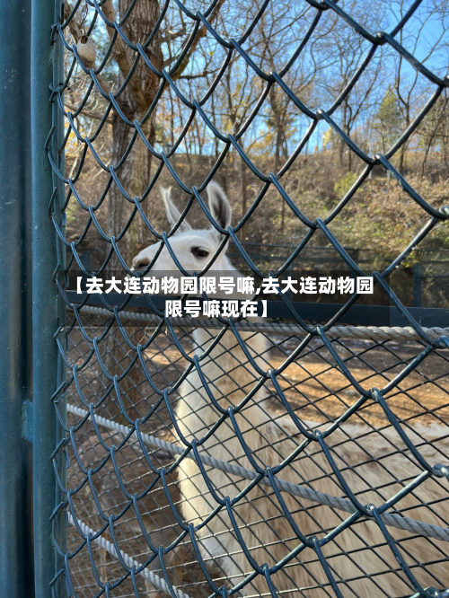 【去大连动物园限号嘛,去大连动物园限号嘛现在】