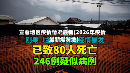 宣春地区疫情情况最新(2026年疫情最新爆发地)-第3张图片