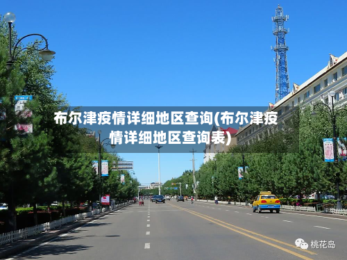 布尔津疫情详细地区查询(布尔津疫情详细地区查询表)