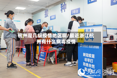 杭州是几级疫情地区啊/最近浙江杭州有什么病毒疫情-第2张图片