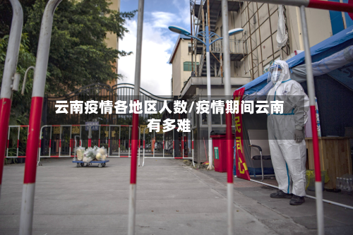 云南疫情各地区人数/疫情期间云南有多难-第2张图片