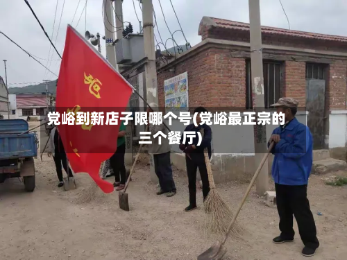 党峪到新店子限哪个号(党峪最正宗的三个餐厅)-第2张图片