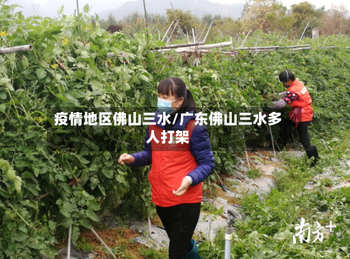 疫情地区佛山三水/广东佛山三水多人打架-第3张图片