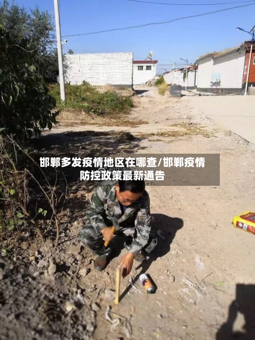 邯郸多发疫情地区在哪查/邯郸疫情防控政策最新通告-第2张图片