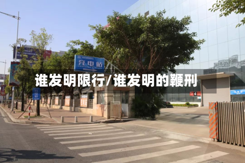 谁发明限行/谁发明的鞭刑-第3张图片