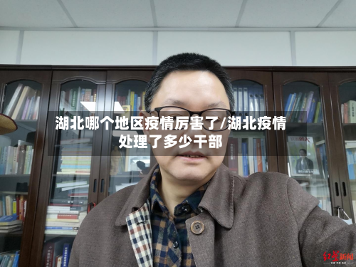 湖北哪个地区疫情厉害了/湖北疫情处理了多少干部