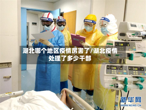 湖北哪个地区疫情厉害了/湖北疫情处理了多少干部-第2张图片