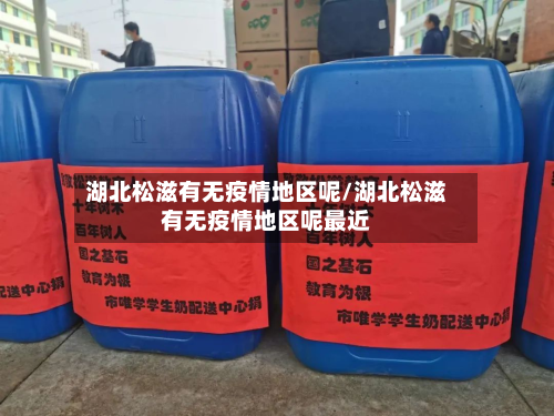 湖北松滋有无疫情地区呢/湖北松滋有无疫情地区呢最近-第2张图片