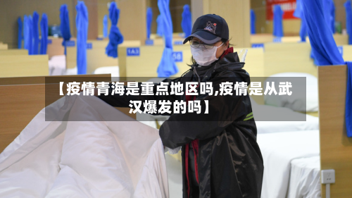 【疫情青海是重点地区吗,疫情是从武汉爆发的吗】-第3张图片