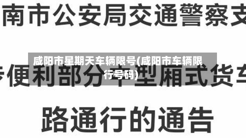 咸阳市星期天车辆限号(咸阳市车辆限行号码)-第3张图片