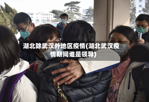 湖北除武汉外地区疫情(湖北武汉疫情期间谁是领导)