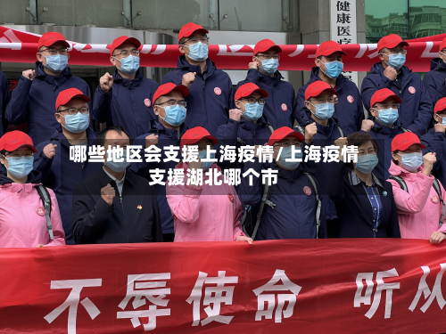 哪些地区会支援上海疫情/上海疫情支援湖北哪个市