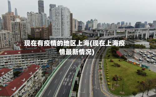 现在有疫情的地区上海(现在上海疫情最新情况)-第3张图片