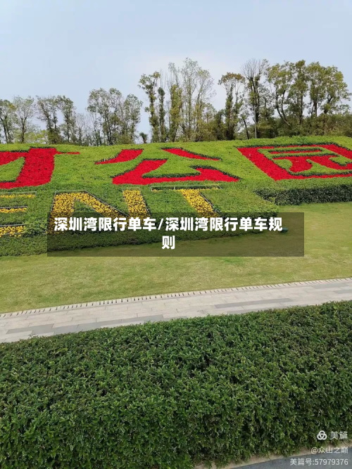 深圳湾限行单车/深圳湾限行单车规则