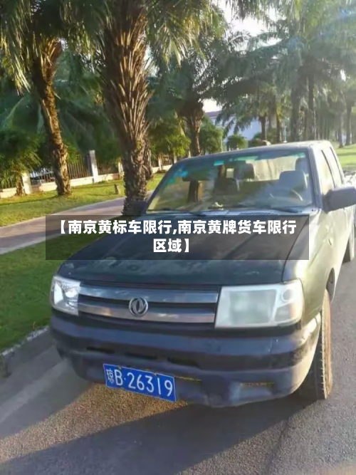 【南京黄标车限行,南京黄牌货车限行区域】-第2张图片