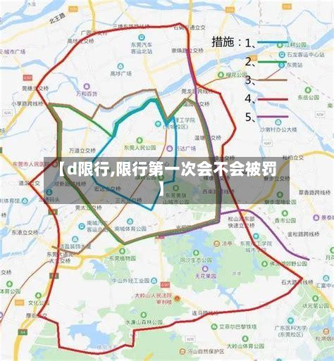 【d限行,限行第一次会不会被罚】