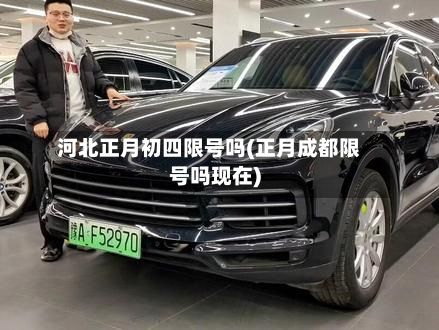 河北正月初四限号吗(正月成都限号吗现在)-第2张图片