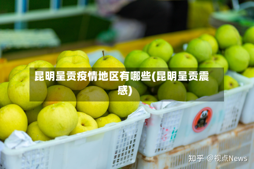 昆明呈贡疫情地区有哪些(昆明呈贡震感)