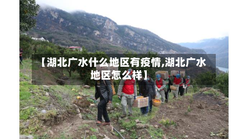 【湖北广水什么地区有疫情,湖北广水地区怎么样】-第2张图片