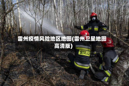 雷州疫情风险地区地图(雷州卫星地图高清版)-第2张图片