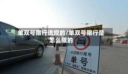 单双号限行违规的/单双号限行是怎么限的