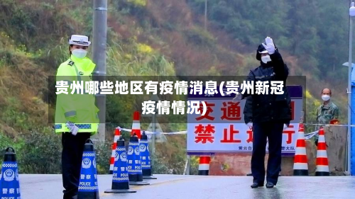贵州哪些地区有疫情消息(贵州新冠疫情情况)-第2张图片