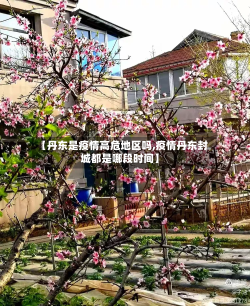 【丹东是疫情高危地区吗,疫情丹东封城都是哪段时间】