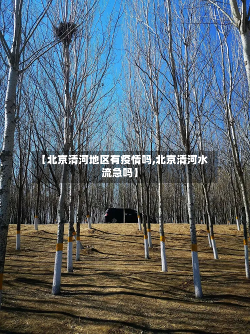 【北京清河地区有疫情吗,北京清河水流急吗】-第2张图片