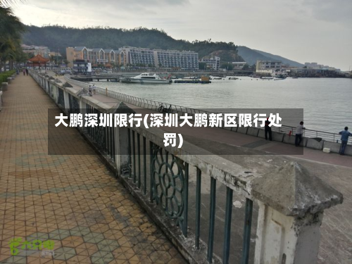 大鹏深圳限行(深圳大鹏新区限行处罚)