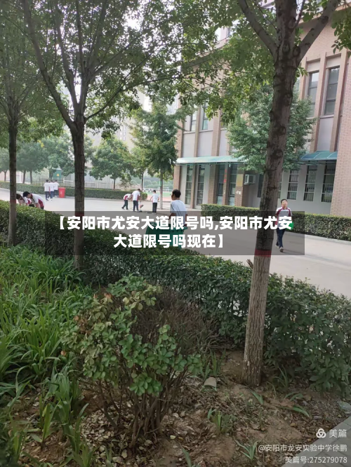 【安阳市尤安大道限号吗,安阳市尤安大道限号吗现在】-第3张图片