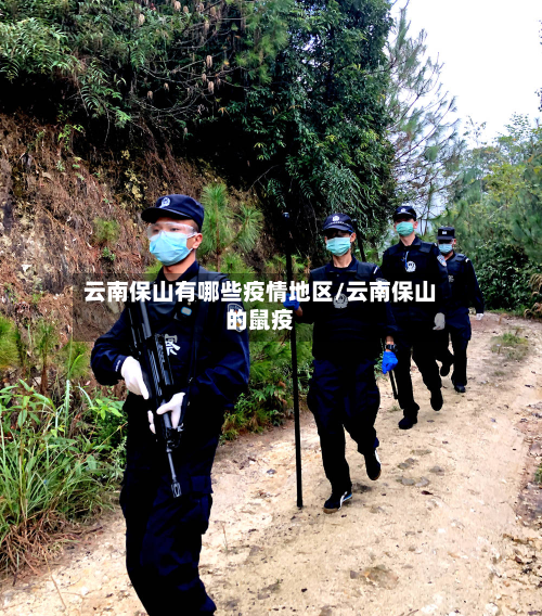 云南保山有哪些疫情地区/云南保山的鼠疫