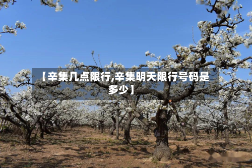 【辛集几点限行,辛集明天限行号码是多少】-第3张图片