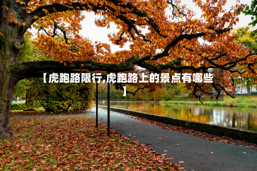 【虎跑路限行,虎跑路上的景点有哪些】