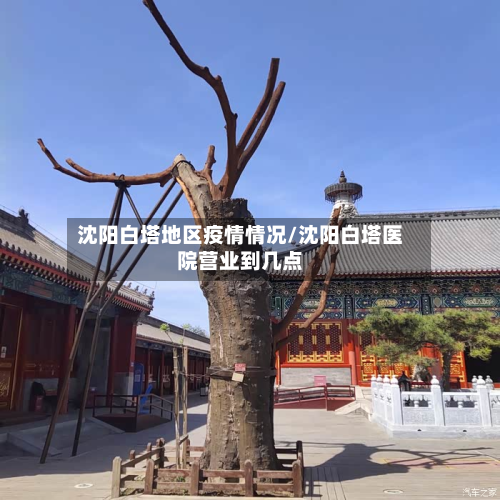 沈阳白塔地区疫情情况/沈阳白塔医院营业到几点-第3张图片