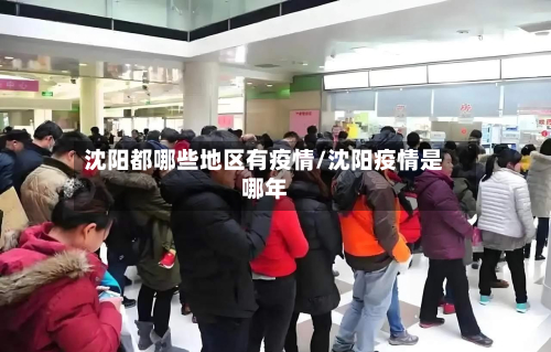 沈阳都哪些地区有疫情/沈阳疫情是哪年-第2张图片