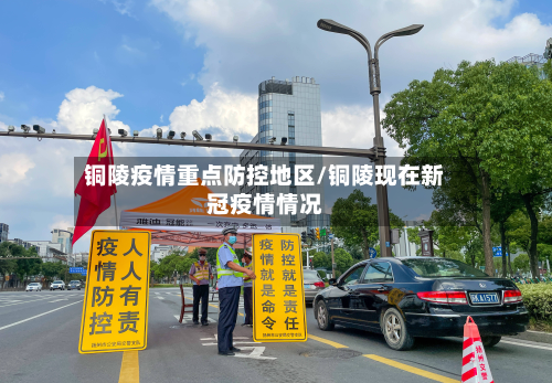 铜陵疫情重点防控地区/铜陵现在新冠疫情情况-第2张图片