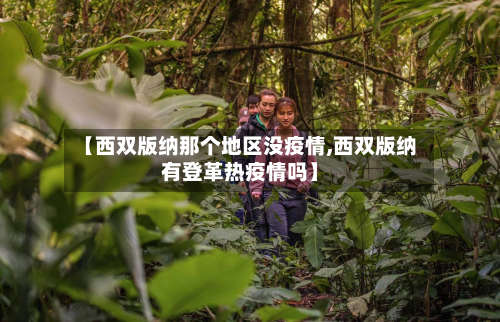 【西双版纳那个地区没疫情,西双版纳有登革热疫情吗】-第3张图片
