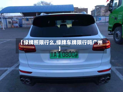 【绿牌照限行么,绿牌车牌限行吗广州】-第3张图片